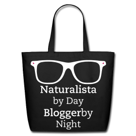 1,width=280,height=280